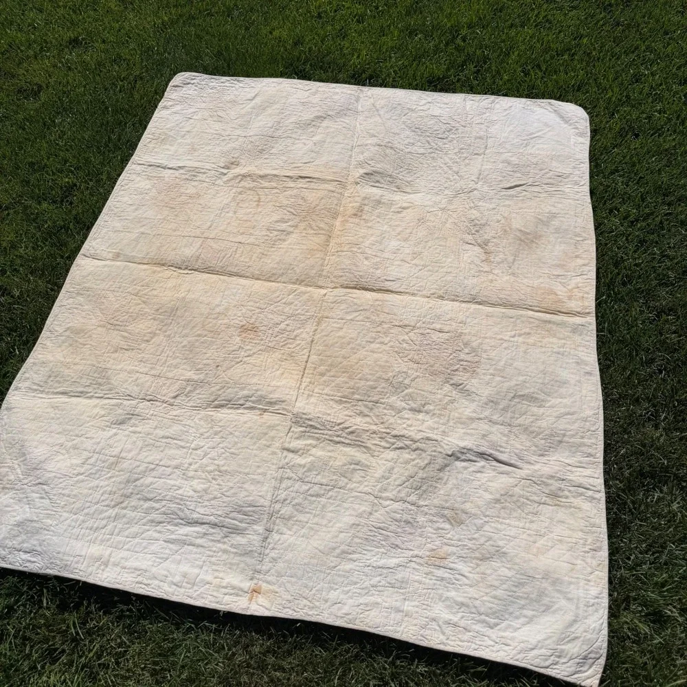 Antique Handmade Floral Applique Quilt Green White Sawtooth Border 53x44 50/60's